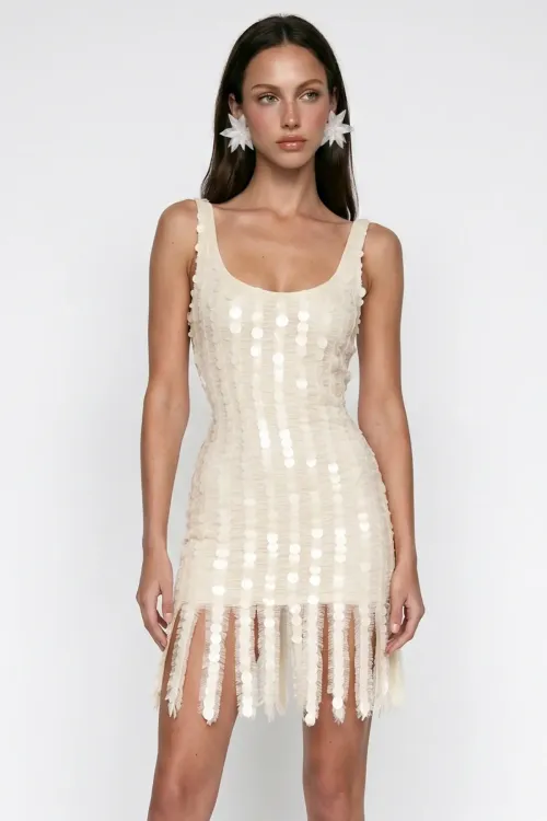BEIGE CORAL BEADED FRINGE DETAIL LACE MINI DRESS