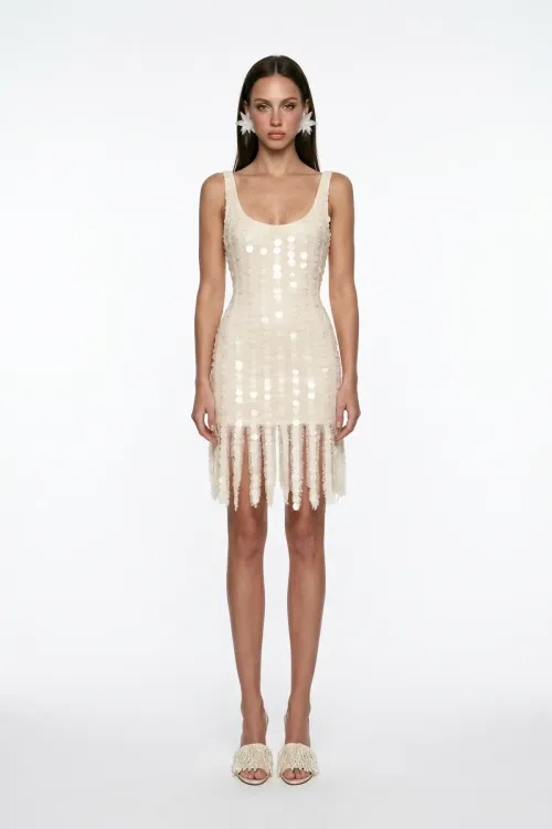BEIGE CORAL BEADED FRINGE DETAIL LACE MINI DRESS
